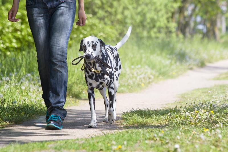 Buteyko method and walking