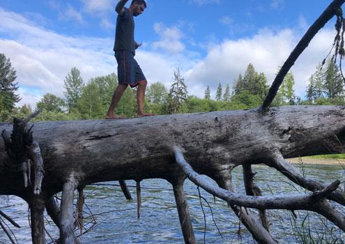 Person balancing on large fallen log over river