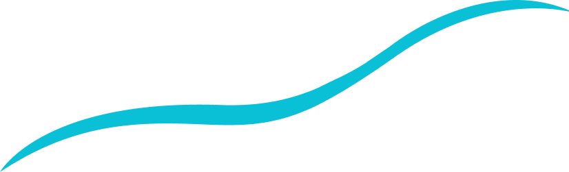 Black header with teal wavy divider