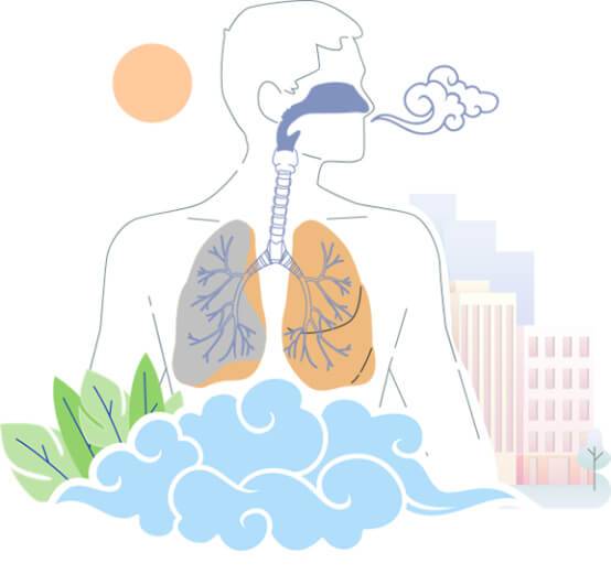 Healthy Breathing