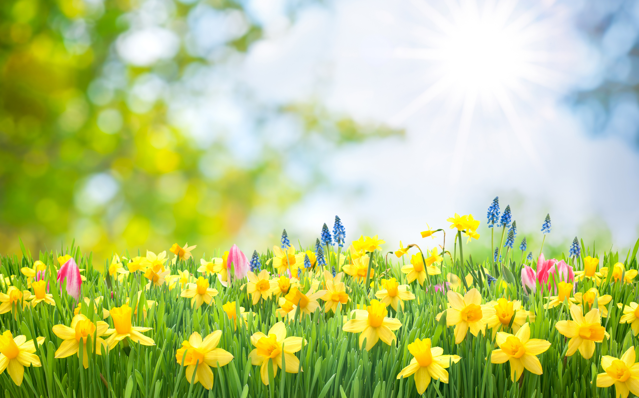 Was CO2 concentration of Jesus Christ normal, high or low? Read this article written by Sasha Yakovleva to find out.