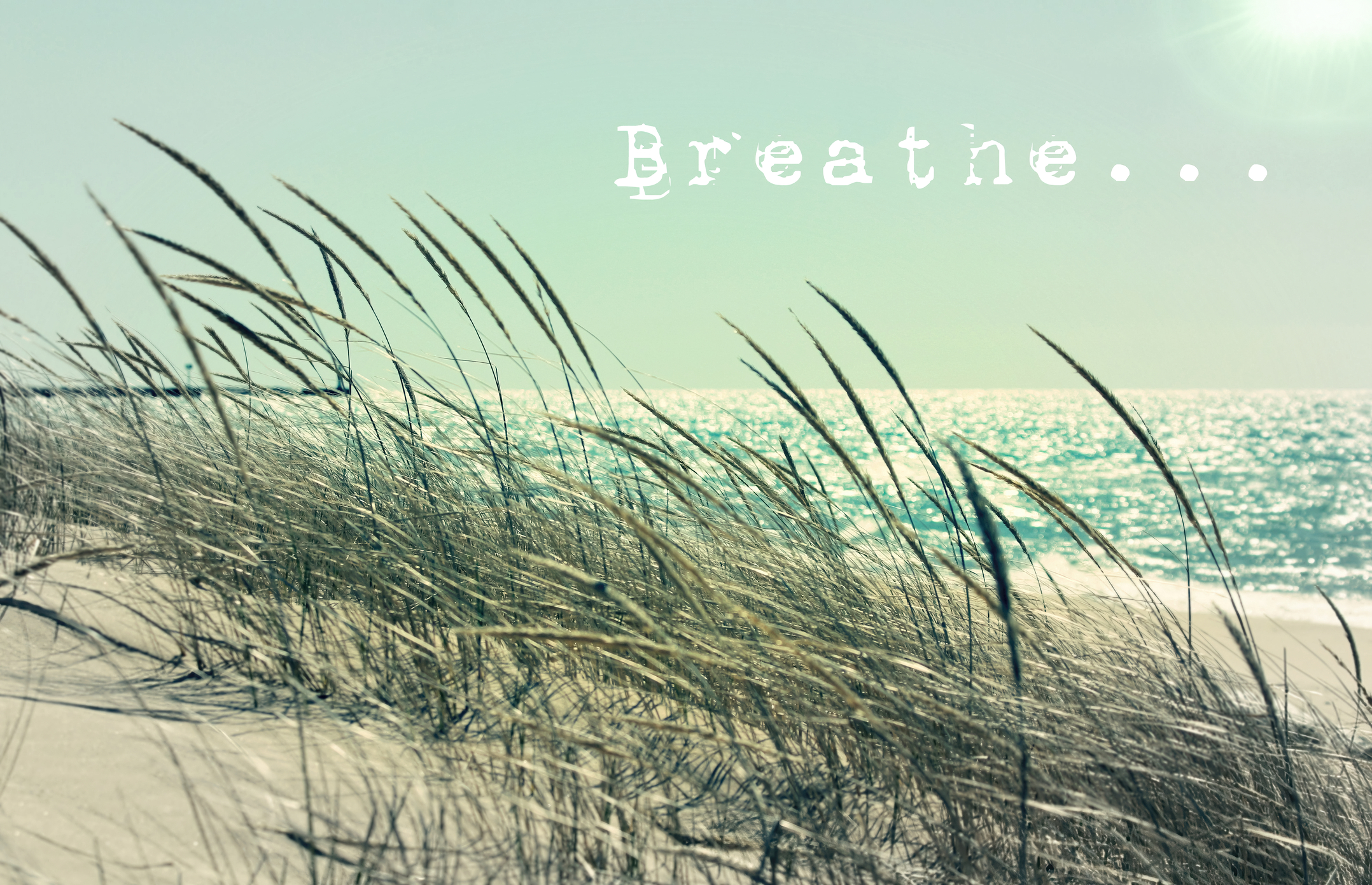 Dune grass on beach with "Breathe" text