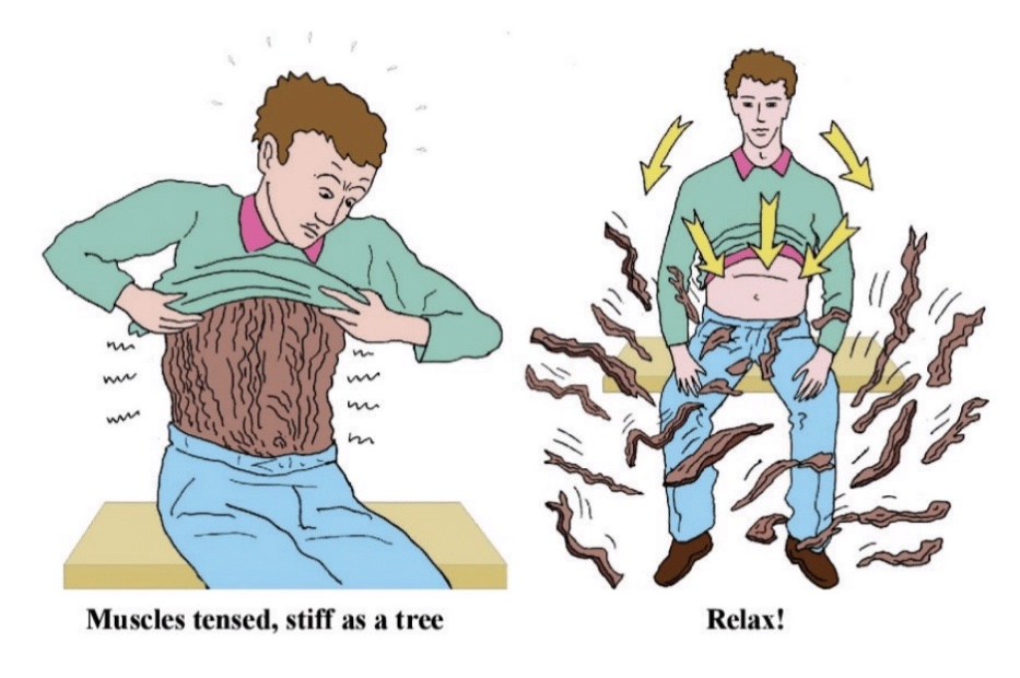 Relaxation of the diaphragm is essential for anyone who wishes to improve their health