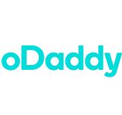 Turquoise GoDaddy logo on white background