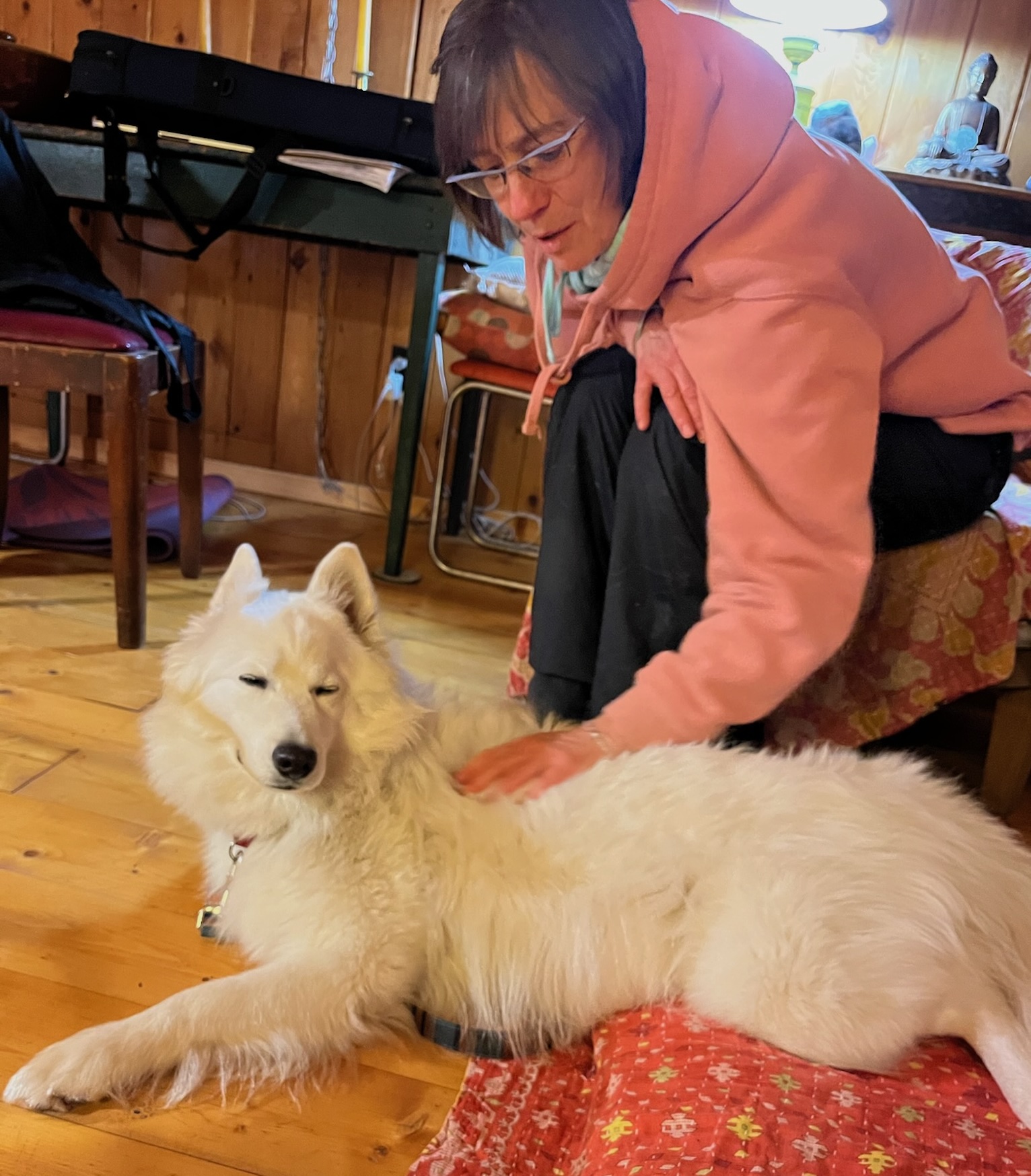 Woman petting fluffy white dog indoors