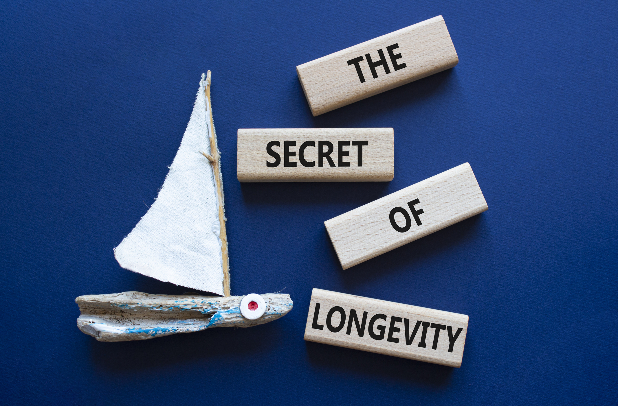 Toy sailboat with the secret of longevity blocks
